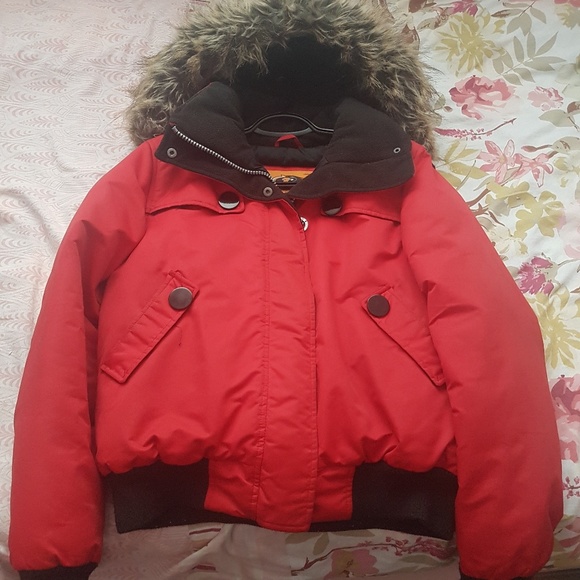 Winter Jacket - Picture 2 of 2